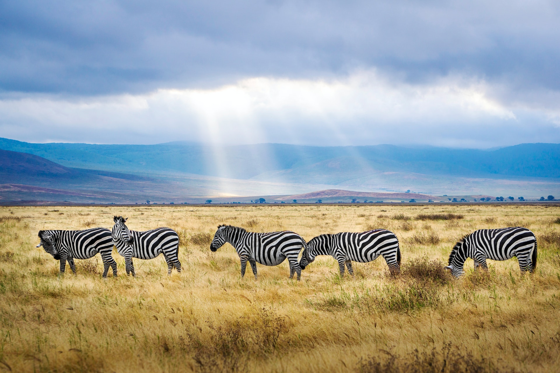 4 Days 3 Nights - Best of Serengeti & Ngorongoro - Lasi Tours