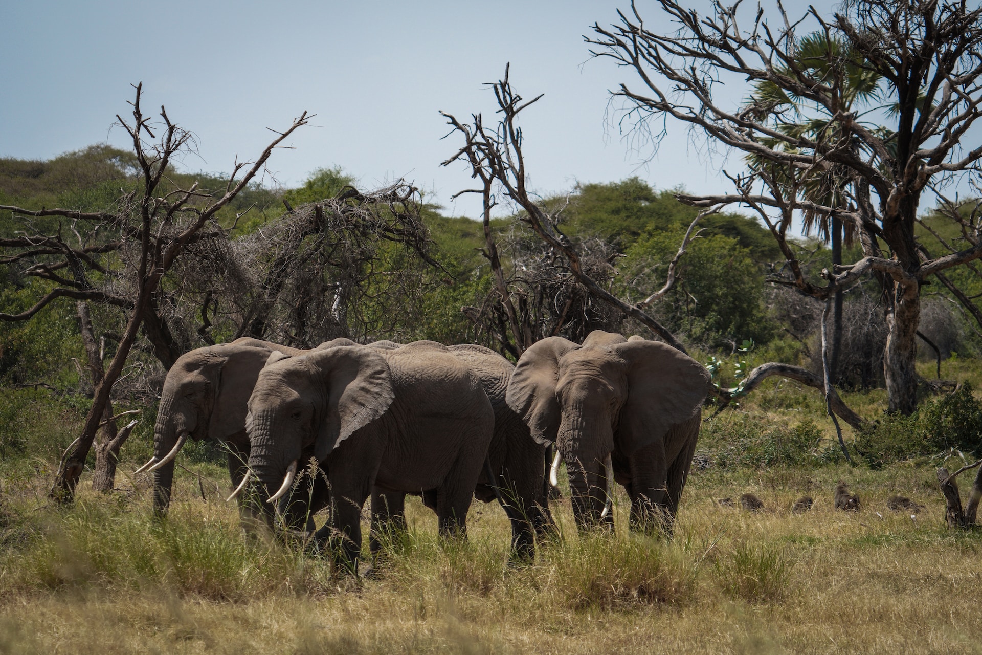 6 Days 5 Nights - Lasi Tours