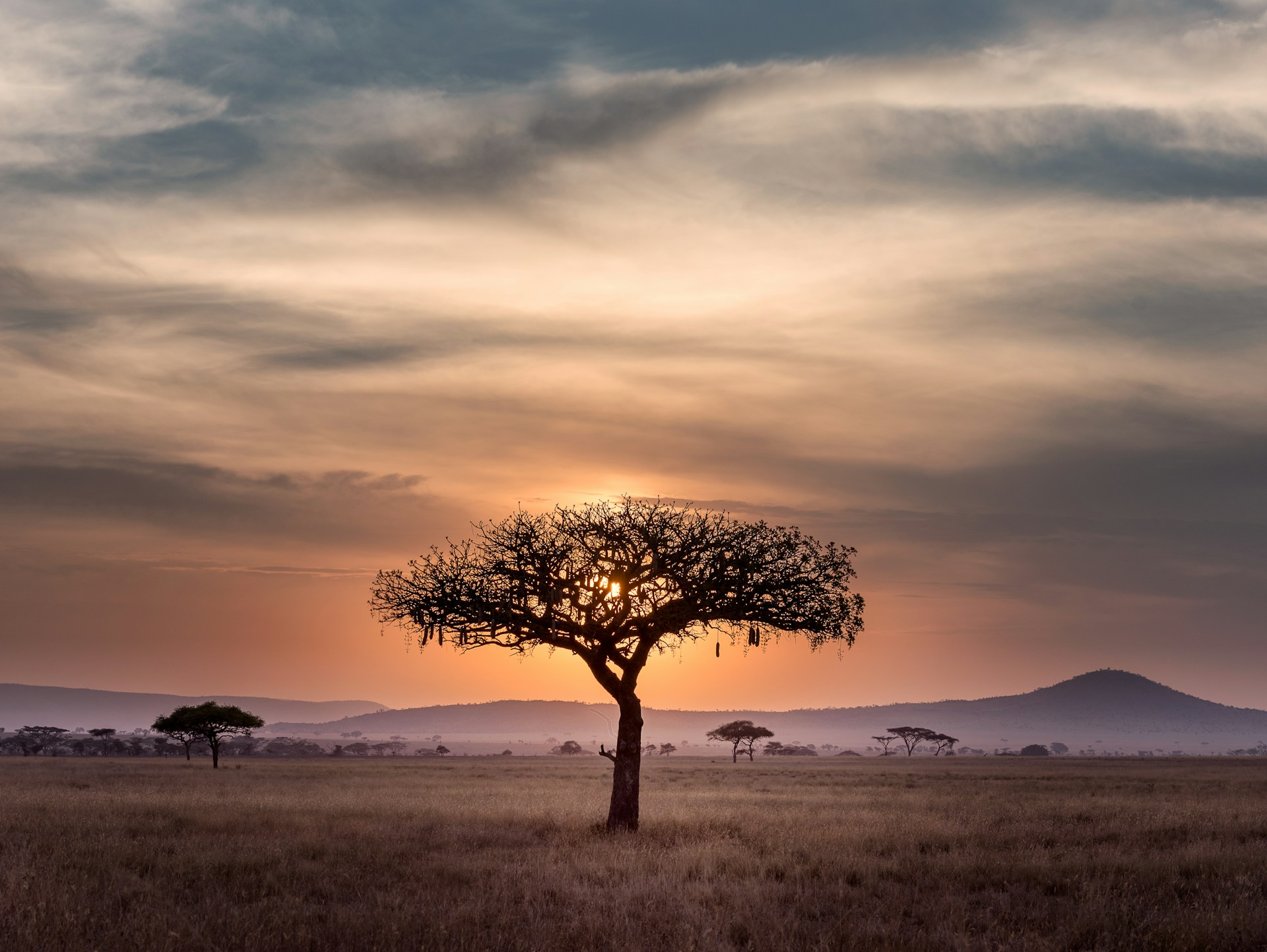 Nyerere National Park - Tanzania Safaris - Lasi Tours
